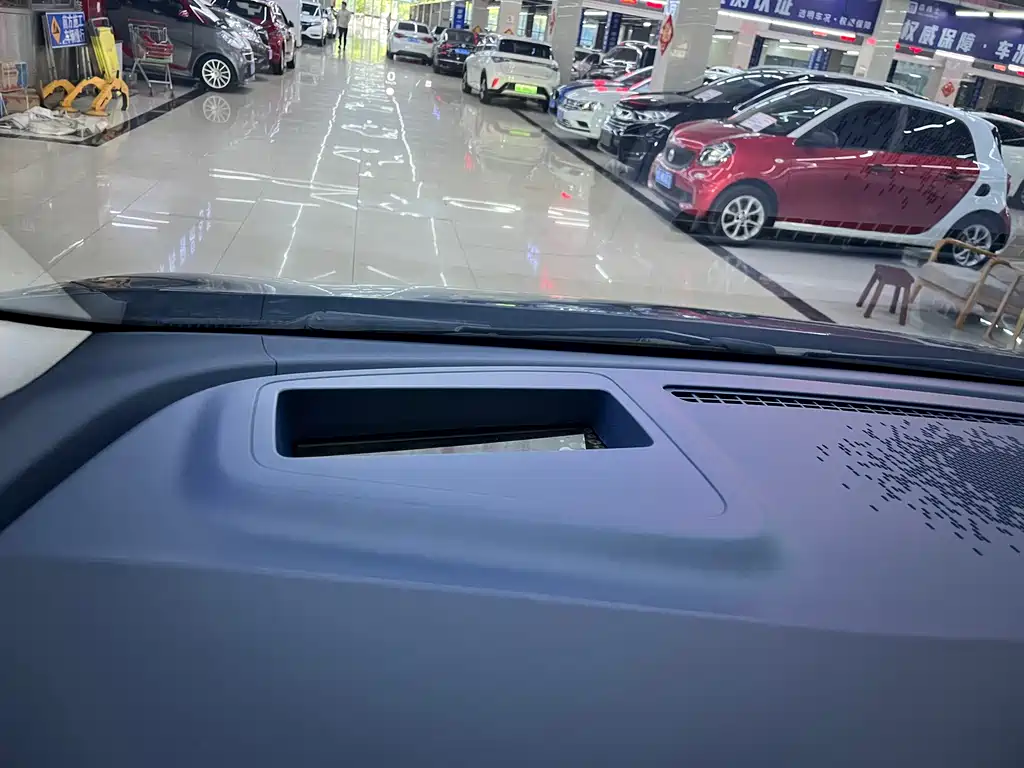 Wey Wey Gaoshan New Energy — миниатюра 33