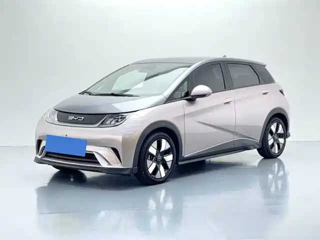 2022 BYD Dolphin