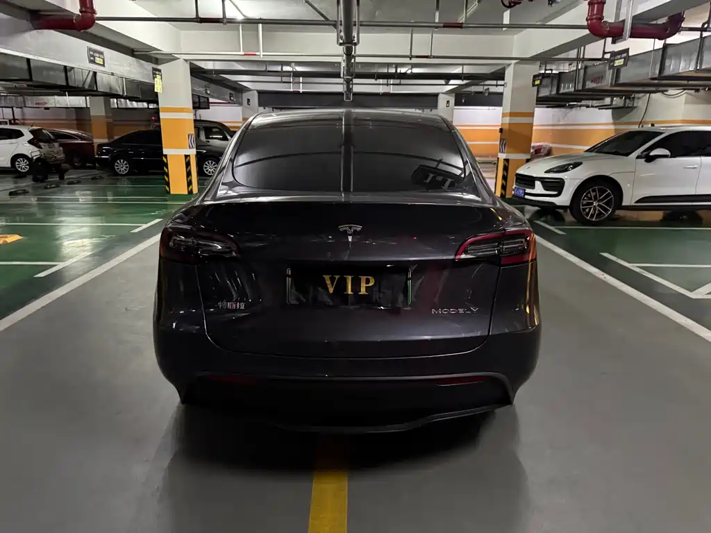 Tesla Model Y — миниатюра 10