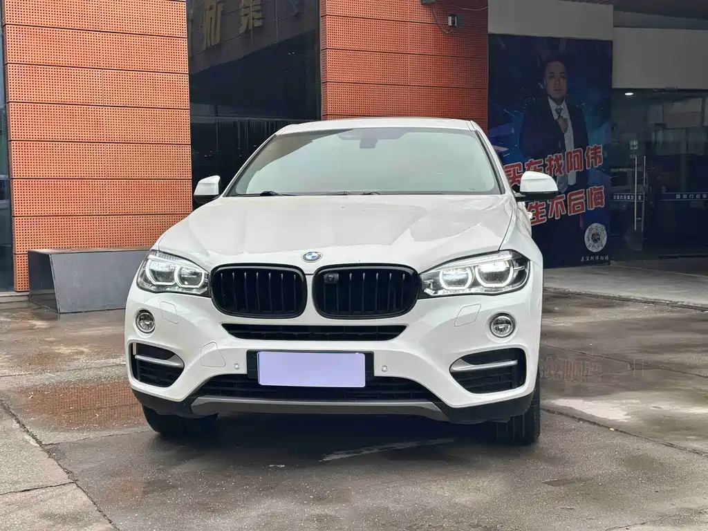 BMW X6 2018 xDrive35i Lead