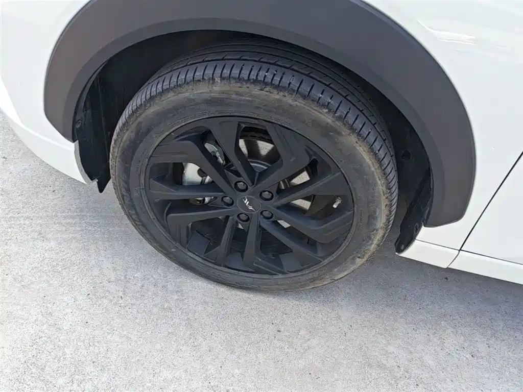JAC JAC QX PHEV — миниатюра 23