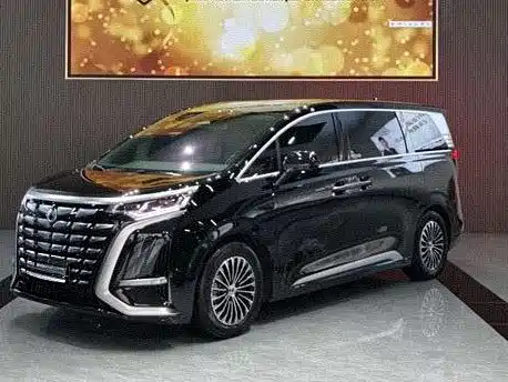 2023 Denza D9