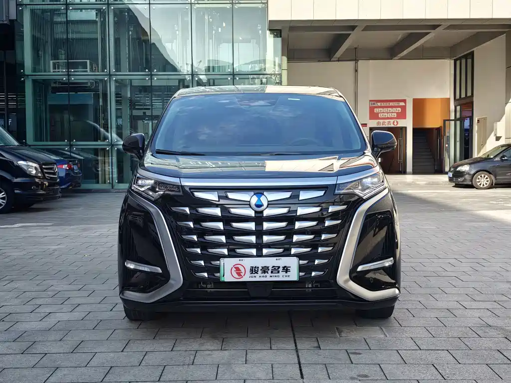 Denza Denza D9 — миниатюра 2