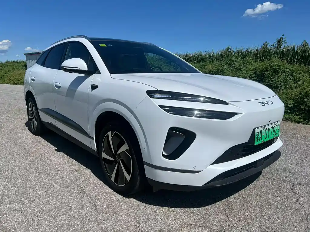 BYD Haisi 06 — миниатюра 3
