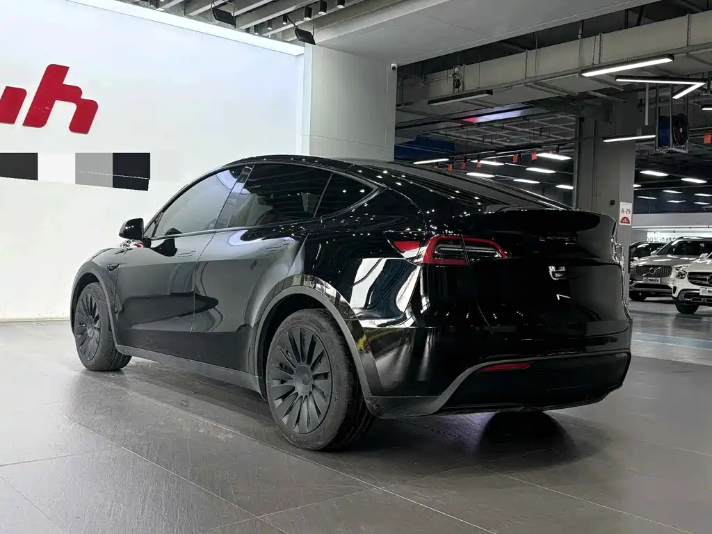 Tesla Model Y — миниатюра 7
