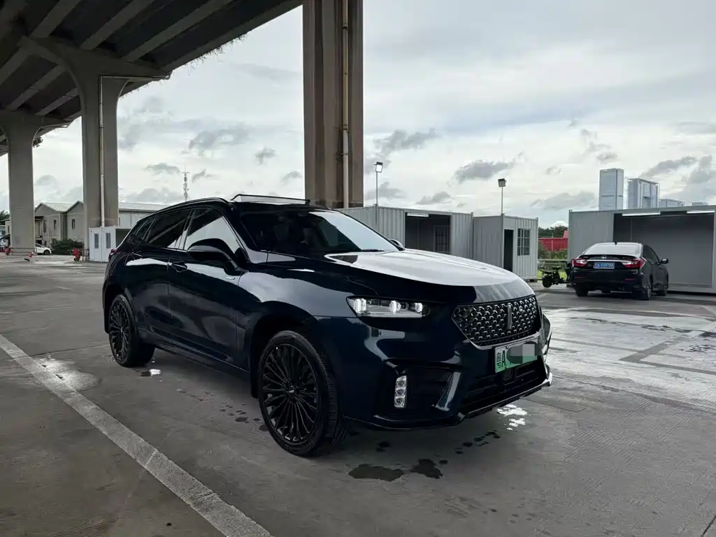 WEI PAI WEI BRAND VV7 NEW ENERGY