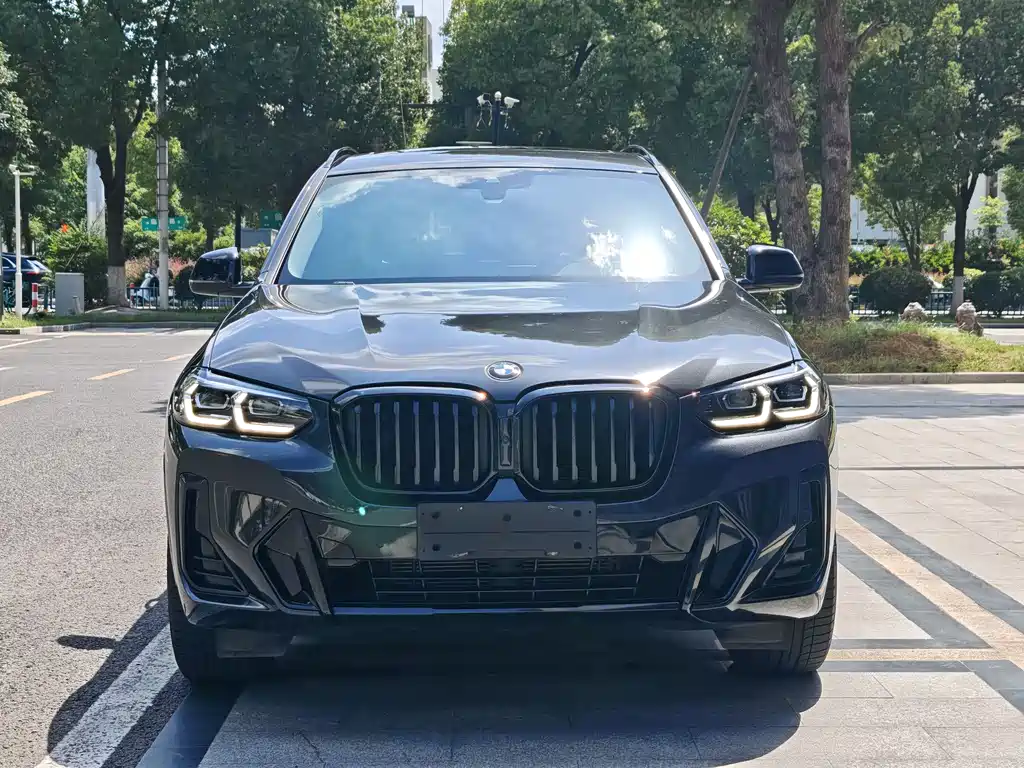 BMW X3 2023 xDrive30i Lead M