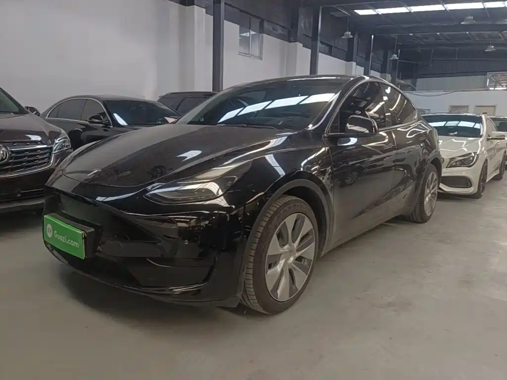 Tesla Model Y — миниатюра 2