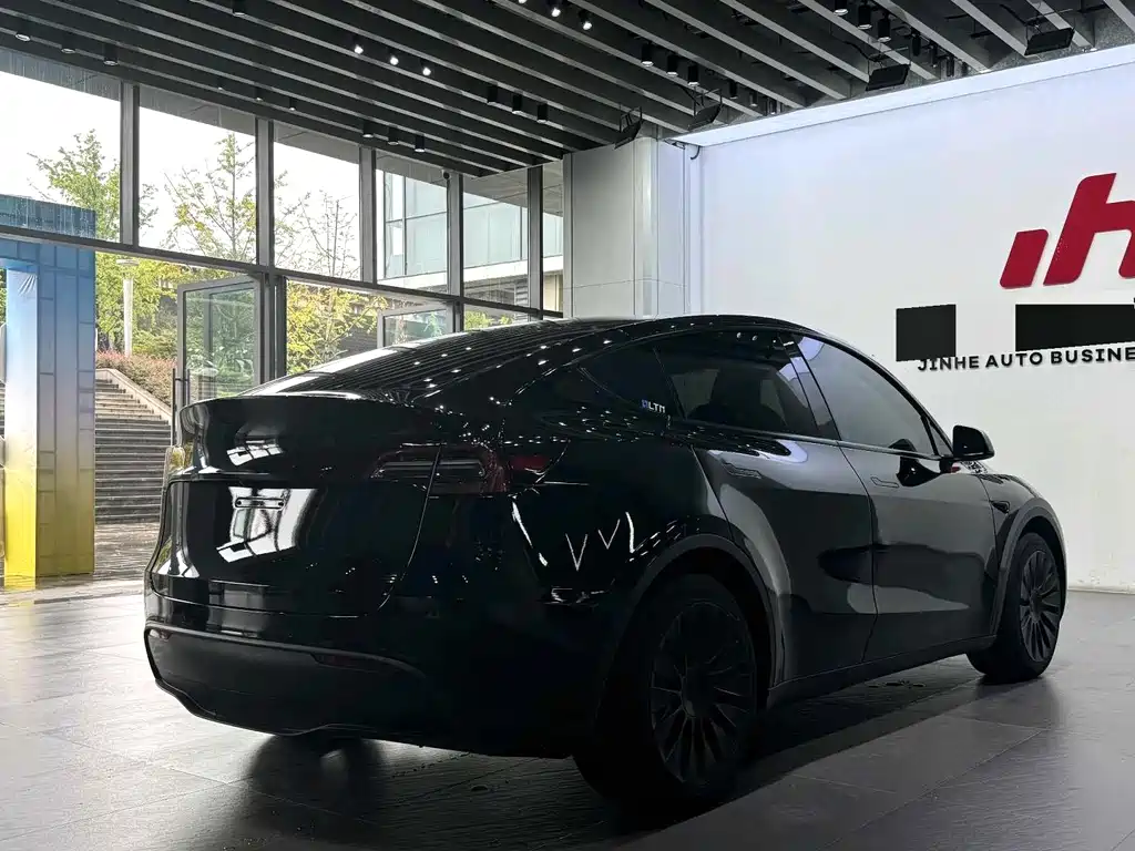 Tesla Model Y — миниатюра 9