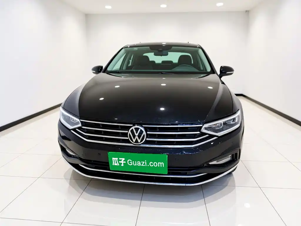 Volkswagen Magotan — миниатюра 2