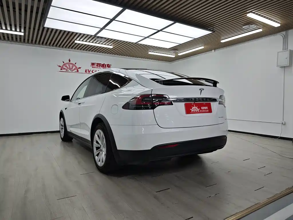 Tesla Model X — миниатюра 6