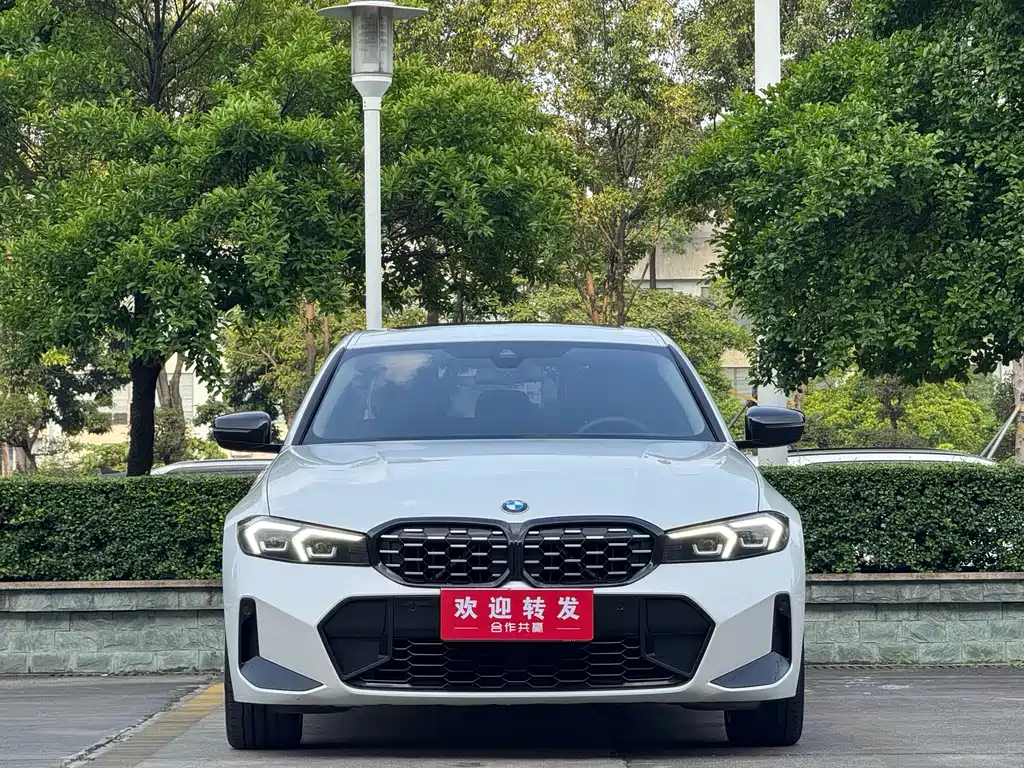 BMW 3 Series — миниатюра 2