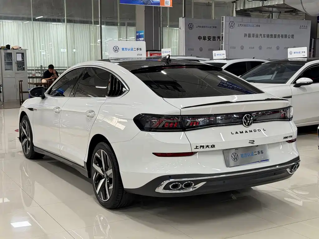 Volkswagen Lamando — миниатюра 9