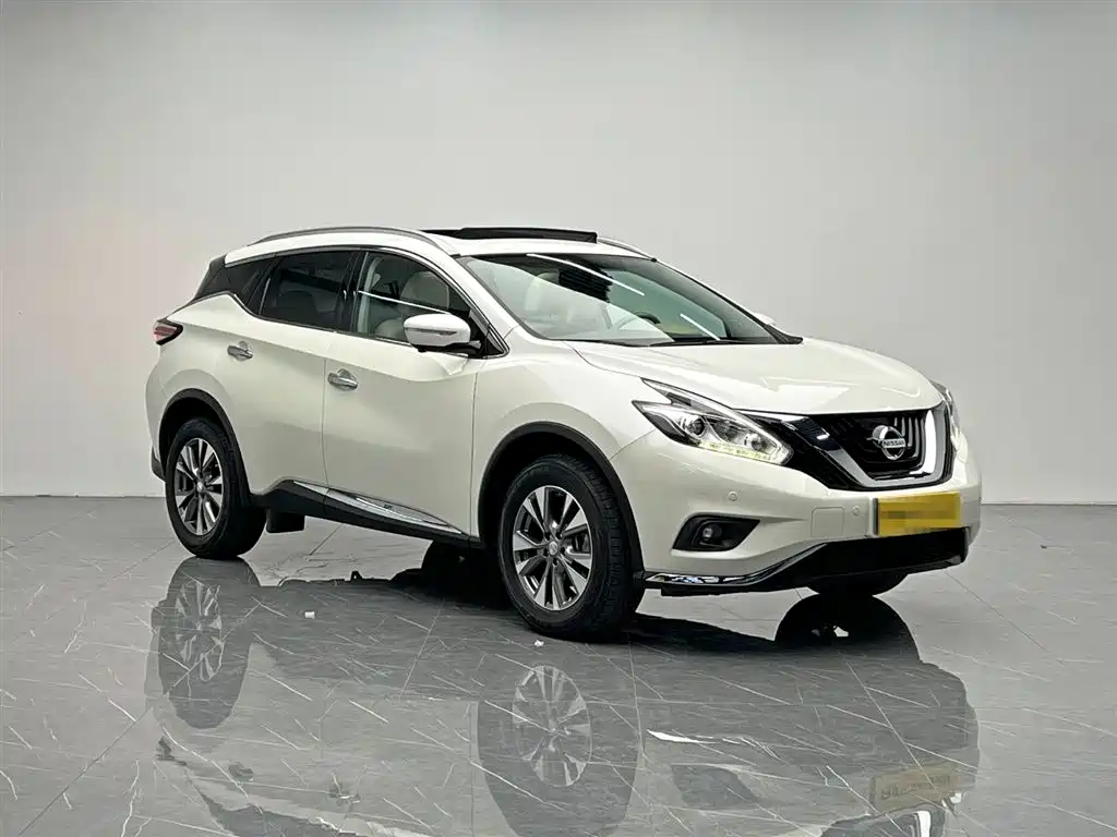 Nissan Murano 2019 2.5L XL Luxury V