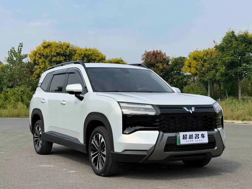 Wuling Xingguang 560 New Energy — миниатюра 3