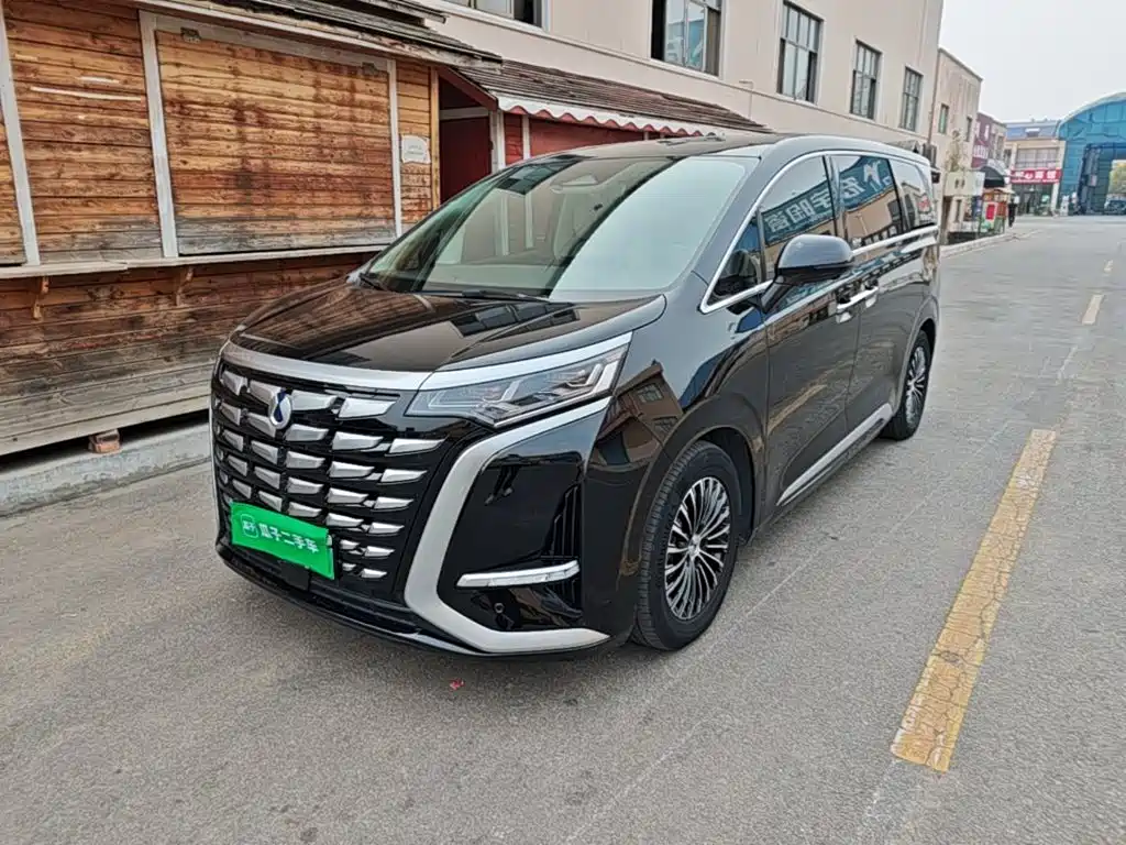 Denza Denza D9 — миниатюра 2
