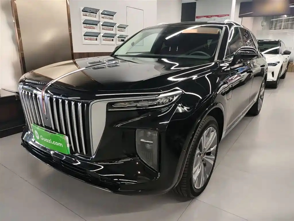 Hongqi E-HS9 2022 690km мест