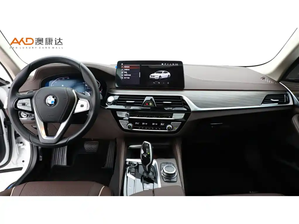 BMW 5 Series — миниатюра 5