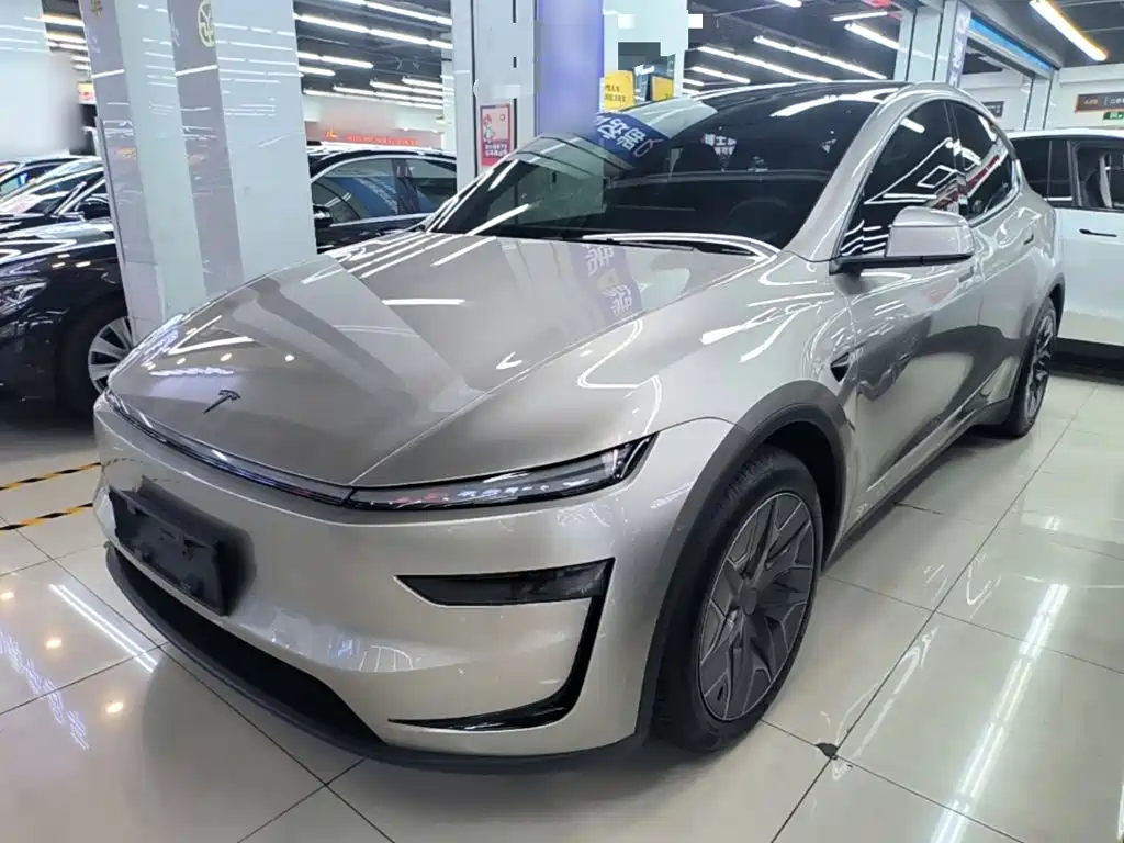 Tesla Model Y L — миниатюра 2