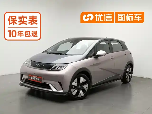 BYD Dolphin