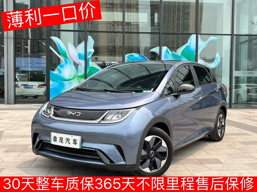 Byd Dolphin 2025