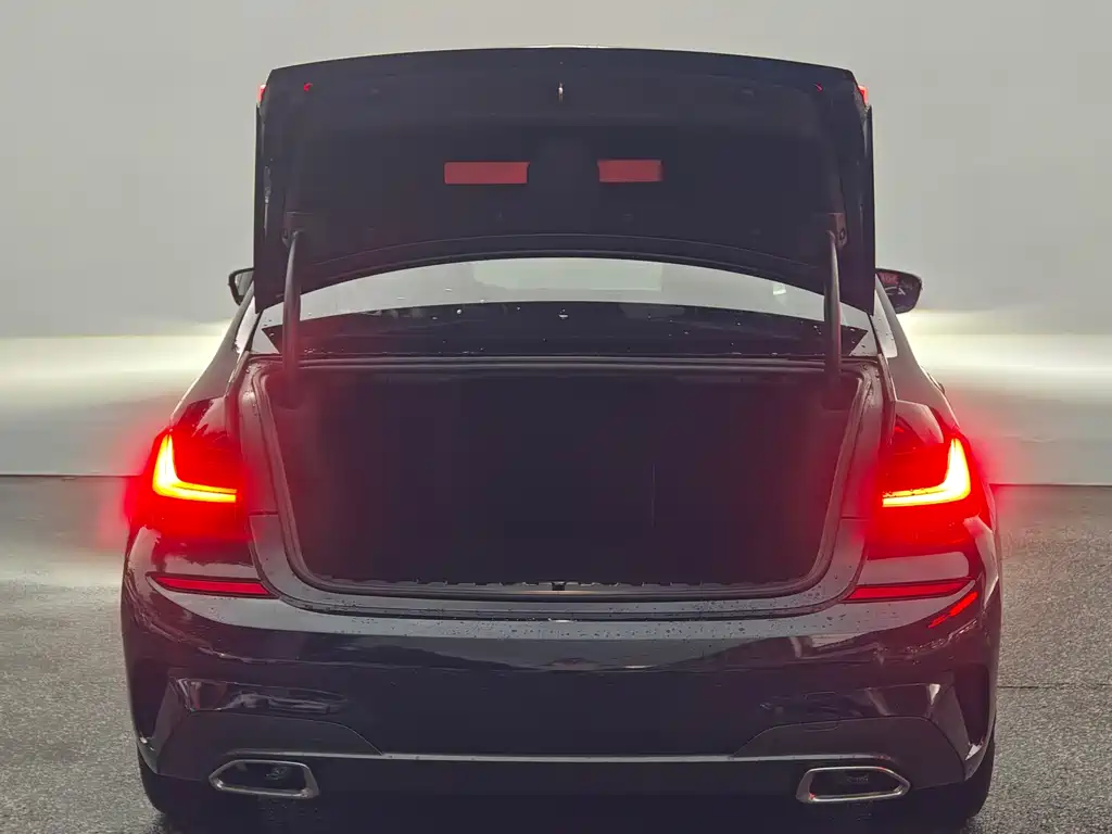 BMW 3 Series — миниатюра 6