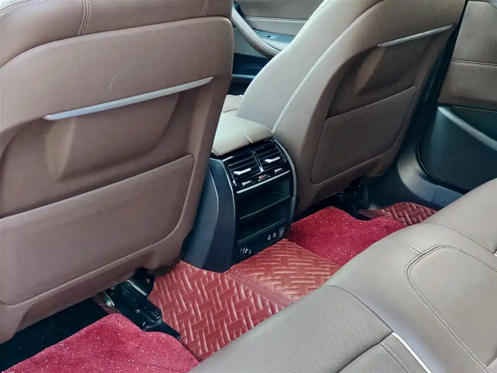 BMW 5 Series 5 2021 530Li Lead Luxury