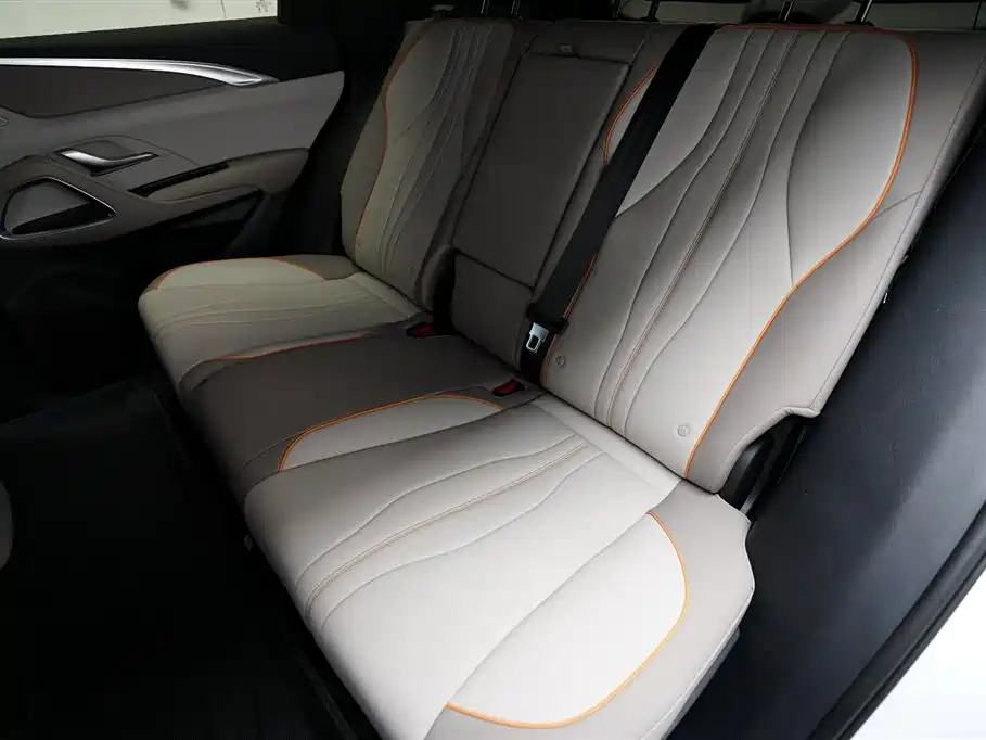 BYD Pro New Energy - фото 13