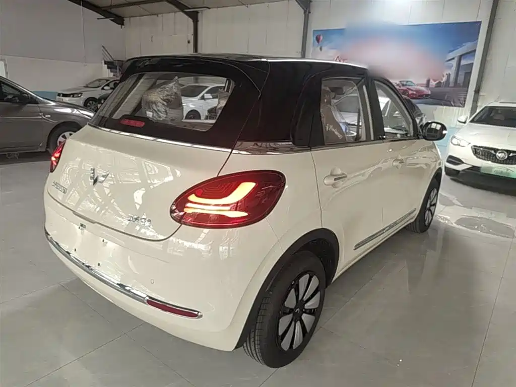 Wuling Binguo 2025 333km Enjoy
