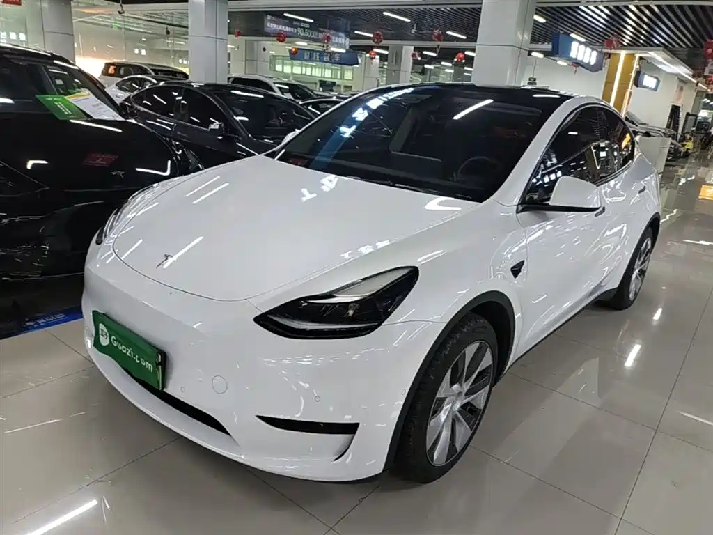 Tesla Model Y 2022 RWD Drive Dynamic Edition