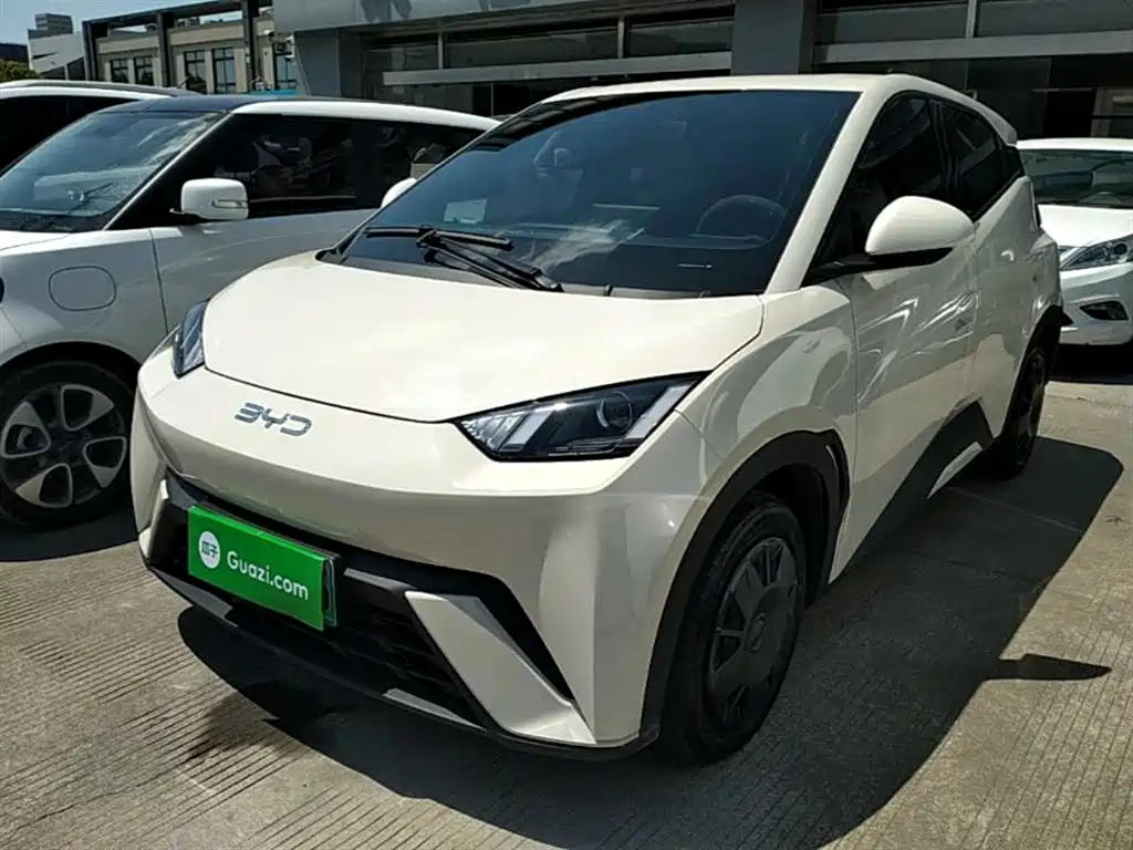 Byd Seagull 2024