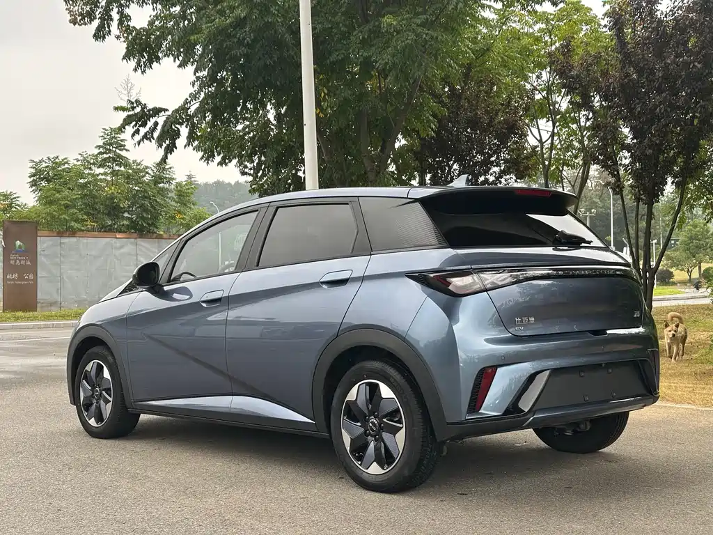 BYD Dolphin — миниатюра 12