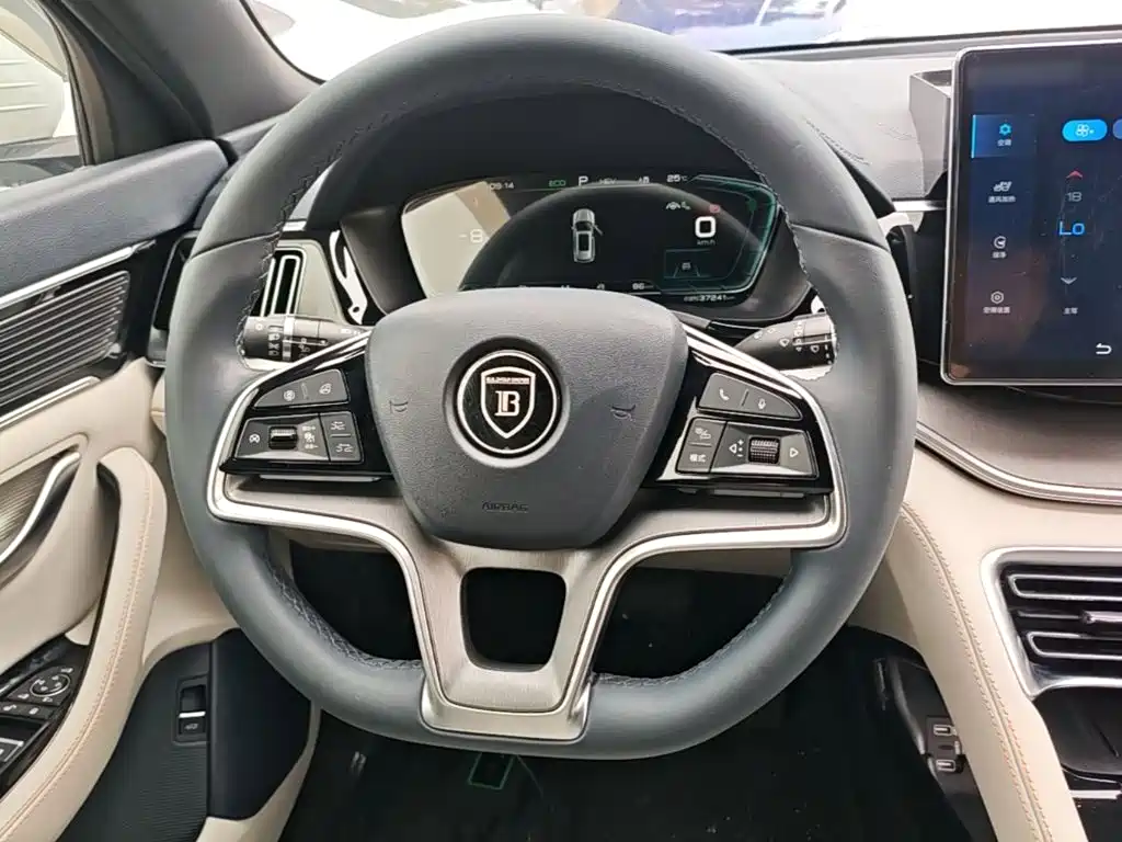 BYD PLUS New Energy — миниатюра 11