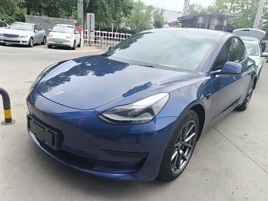 Tesla Model 3 2021