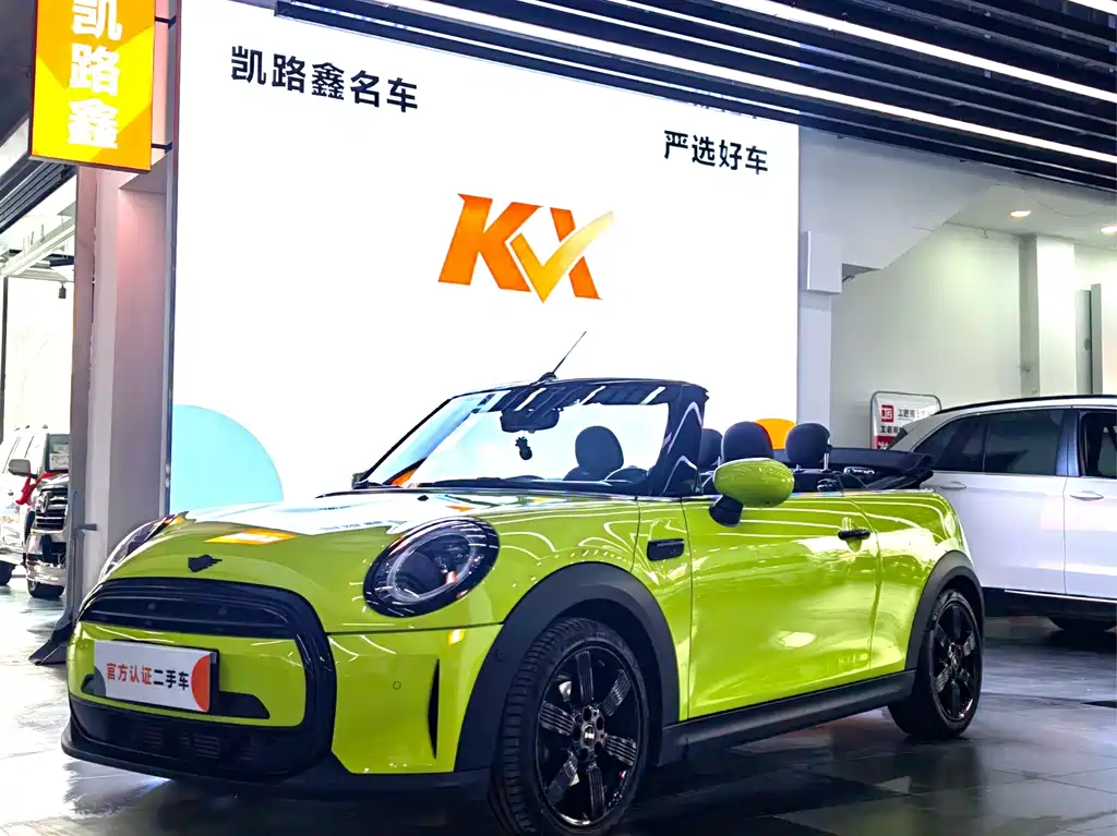 Mini Mini 2023