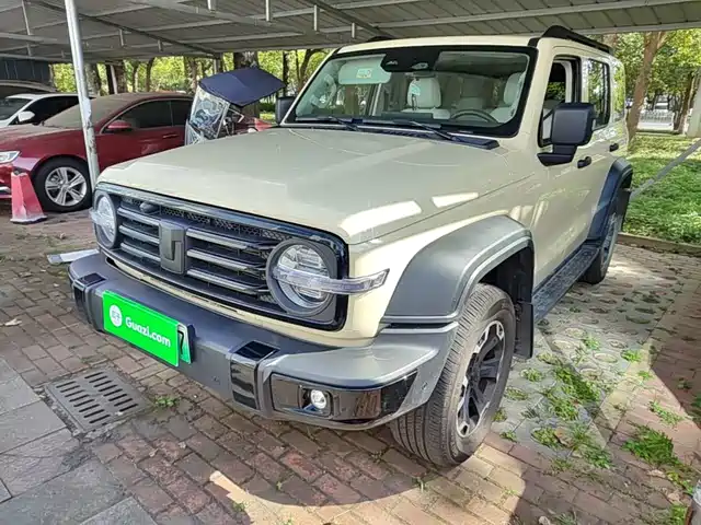 2025 TANK 300
