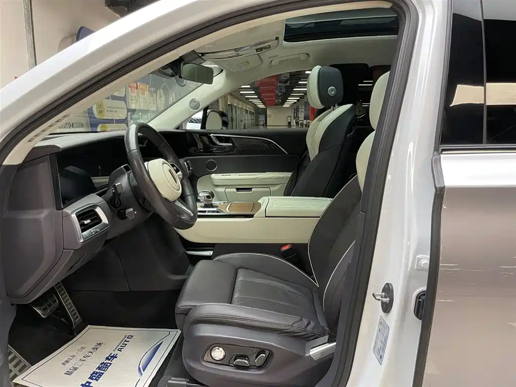 Hongqi E-HS9 2021 510km мест