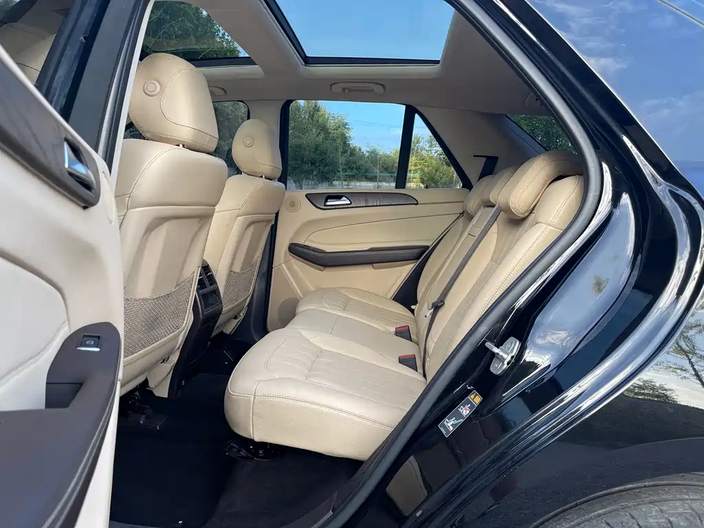 Mercedes-Benz GLE (Import) — миниатюра 5
