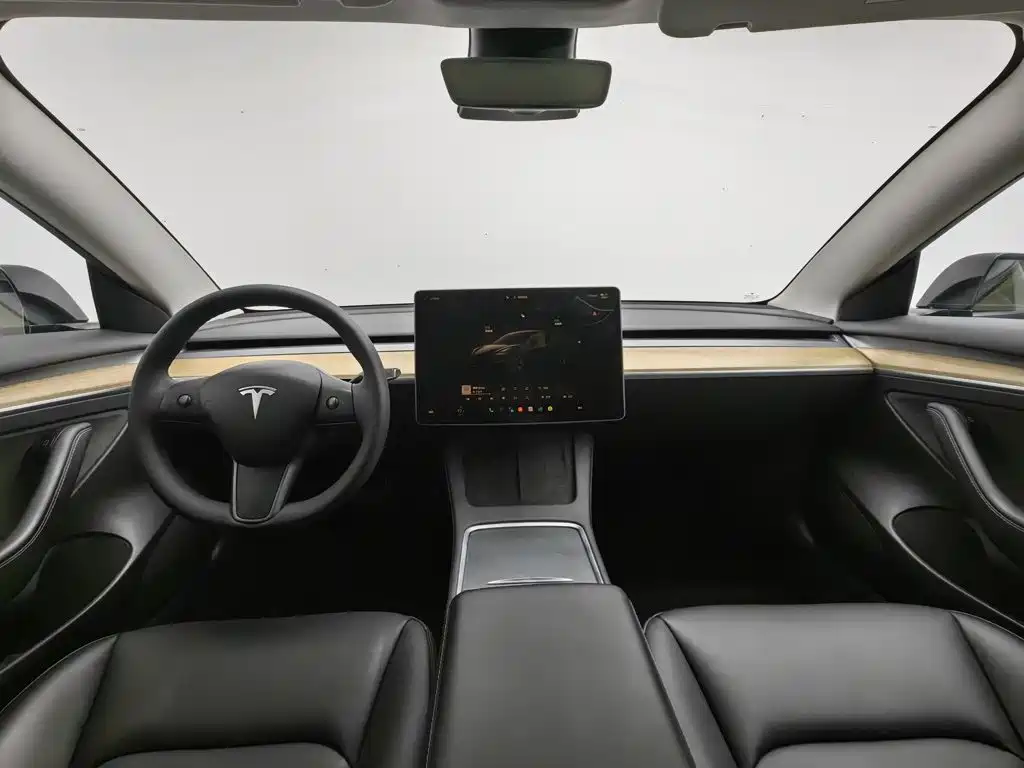 Tesla Model 3 — миниатюра 5