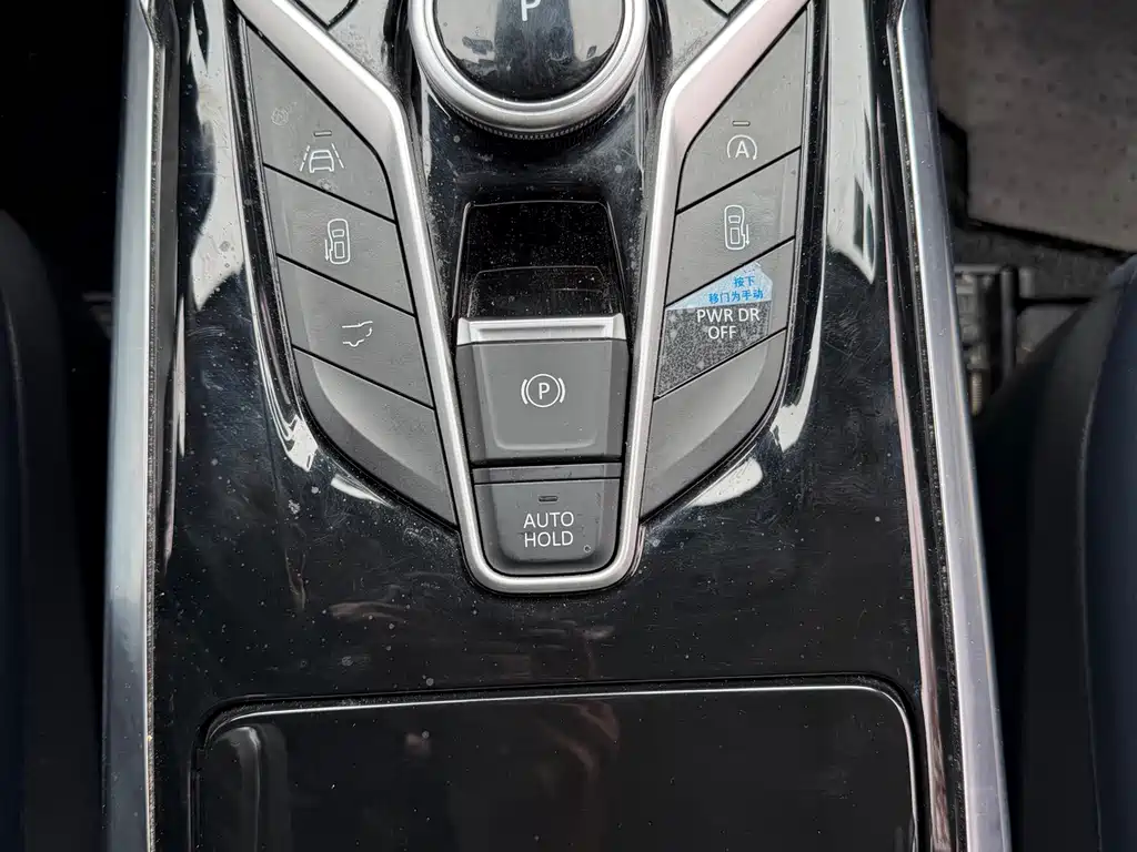 SAIC MAXUS CHASE G20