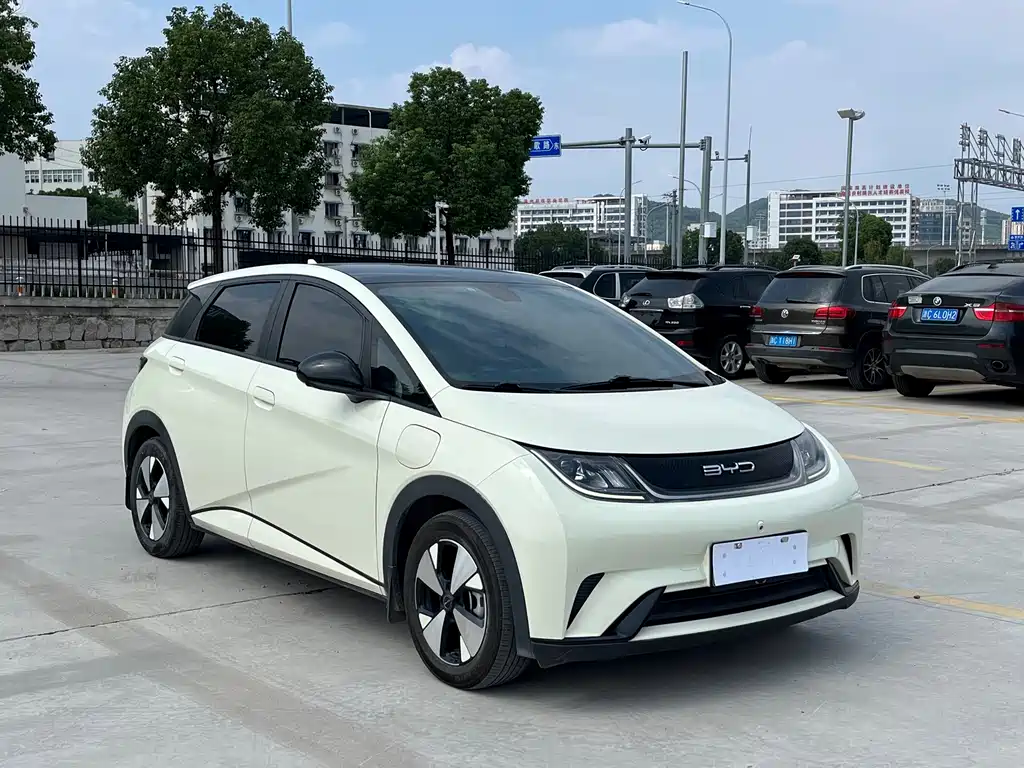 BYD Dolphin — миниатюра 3