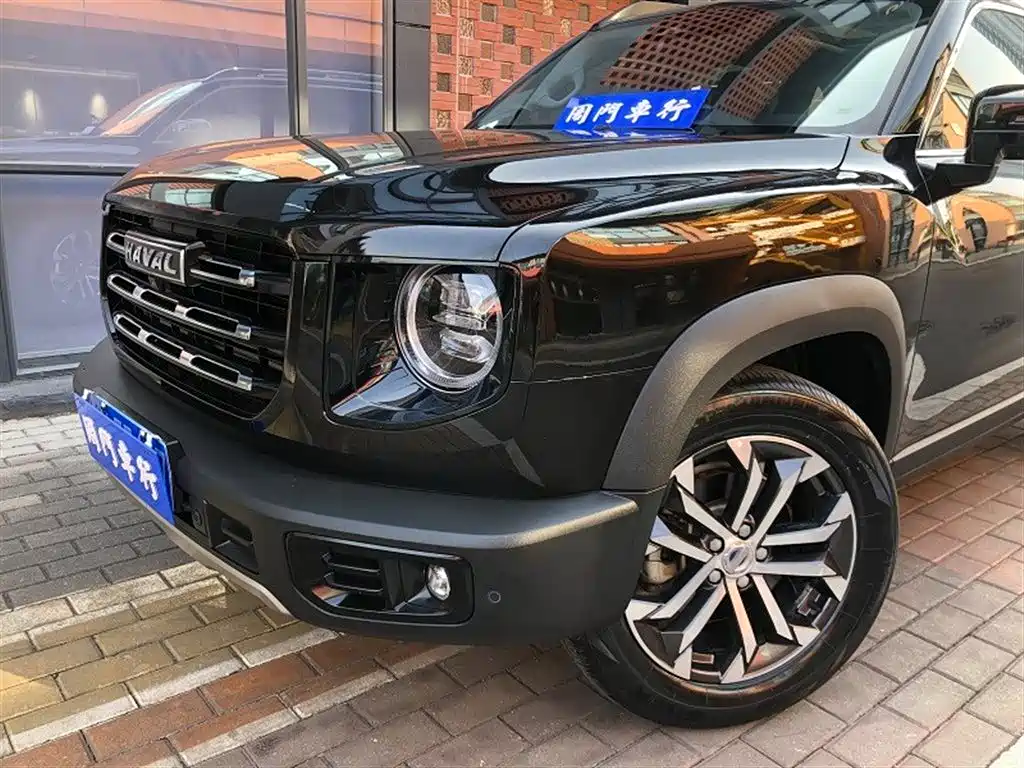 HAVAL BIG DOG