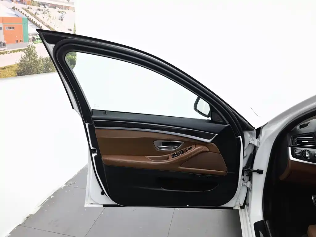 BMW 5 Series 5 2017 528Li xDrive Lead