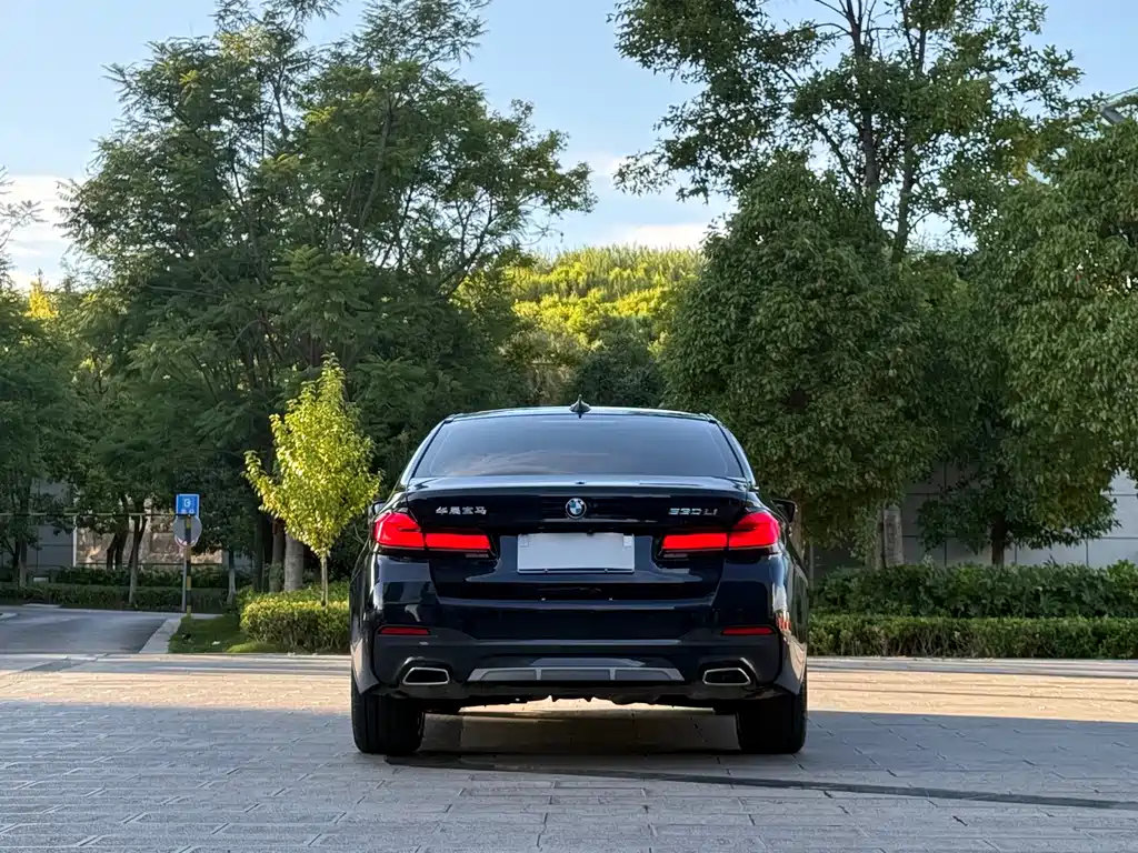BMW 5 Series — миниатюра 8