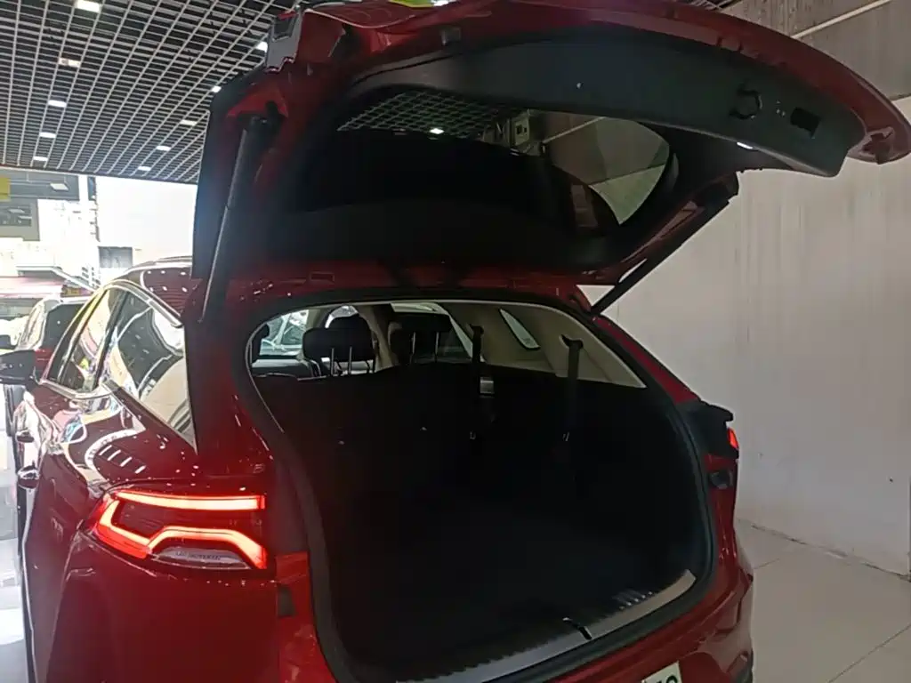 BYD Tang New Energy — миниатюра 19