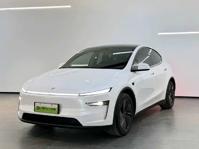TESLA MODEL Y 2025
