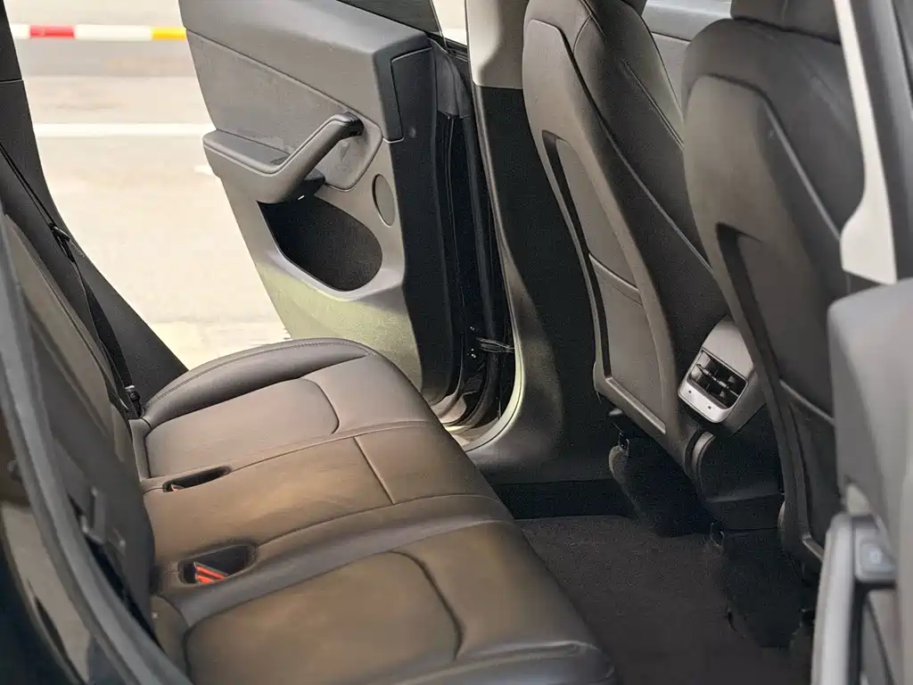 Tesla Model Y — миниатюра 6