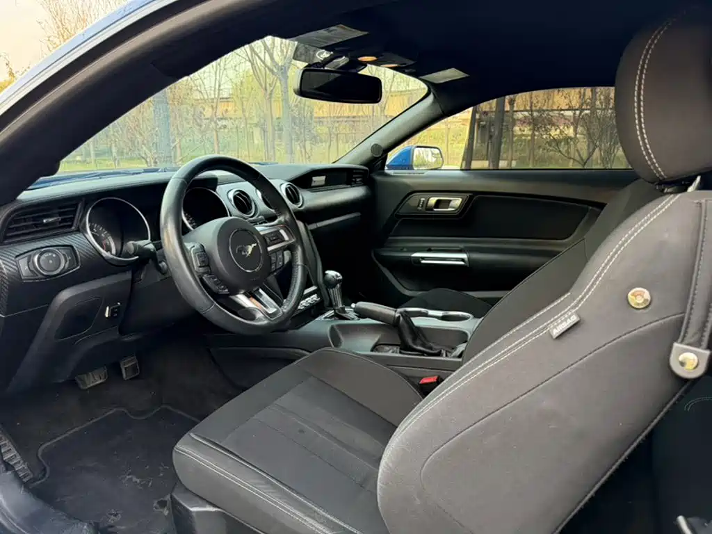 Ford Mustang — миниатюра 8
