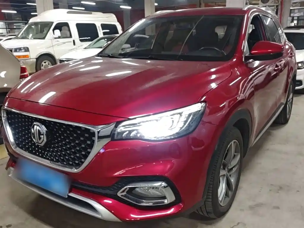 Mg HS 2019