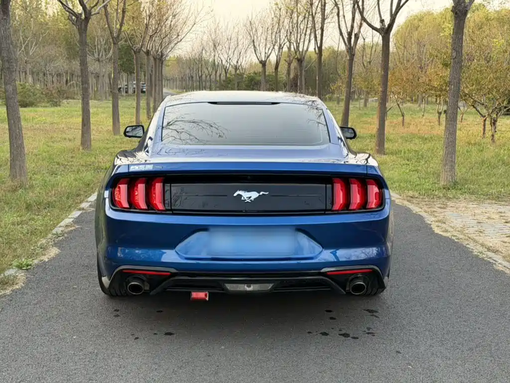 Ford Mustang — миниатюра 6